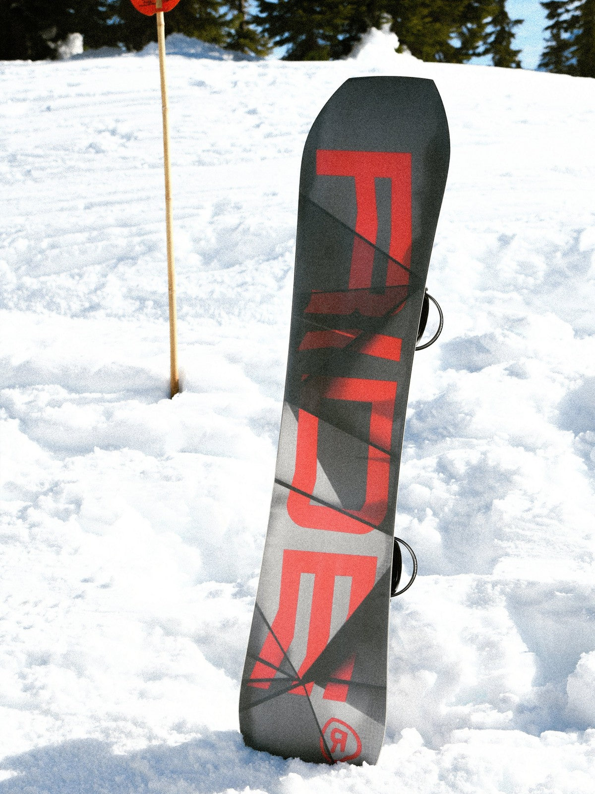 Ride TWINPIG Snowboard 2026